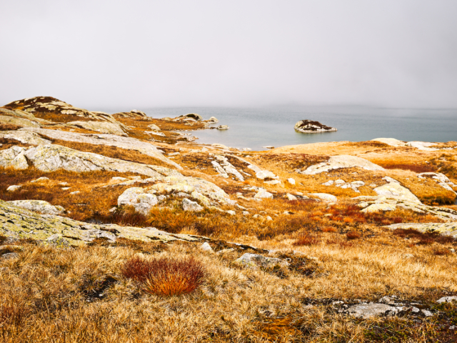 Grimselpass Ufer des Totensees im Herbstnebel