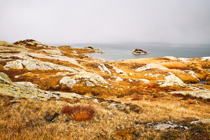 Grimsel im Herbst 2019