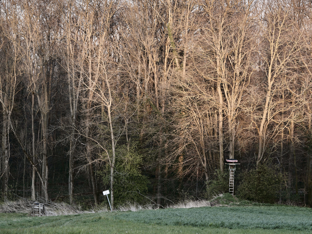 Hochsitz in Abendsonne